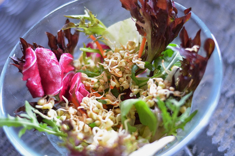 how to sprout buckwheat