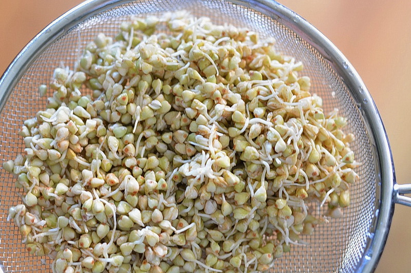 how to sprout buckwheat