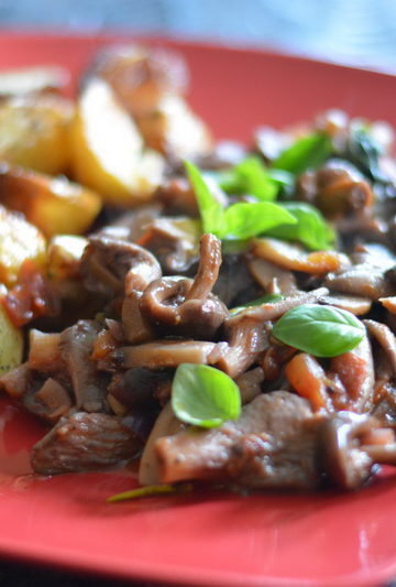 mixed mushroom goulash